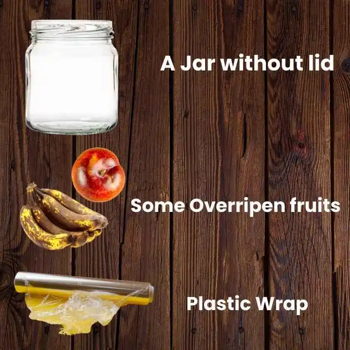 The Overripen Fruit Fly Trap