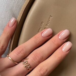 Sheer Elegance Nail Design