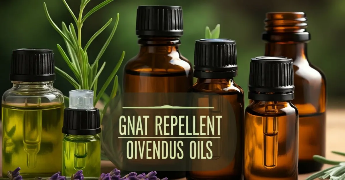 essential oils to repel gnats